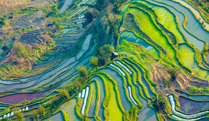 宝妈必备神器：佛坪县产品视频拍摄轻松育儿好帮手