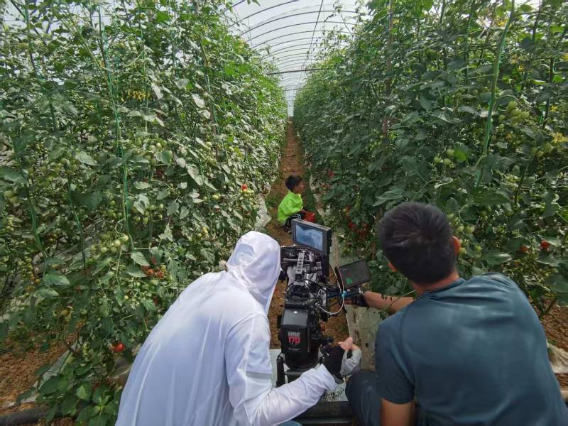 佛坪县产品宣传视频拍摄公司进阶指南，助力品牌抢占传播高地